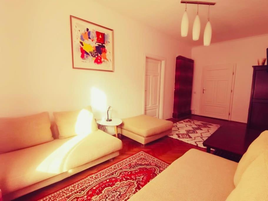 Casa Young&Jung Sibiu Luaran gambar