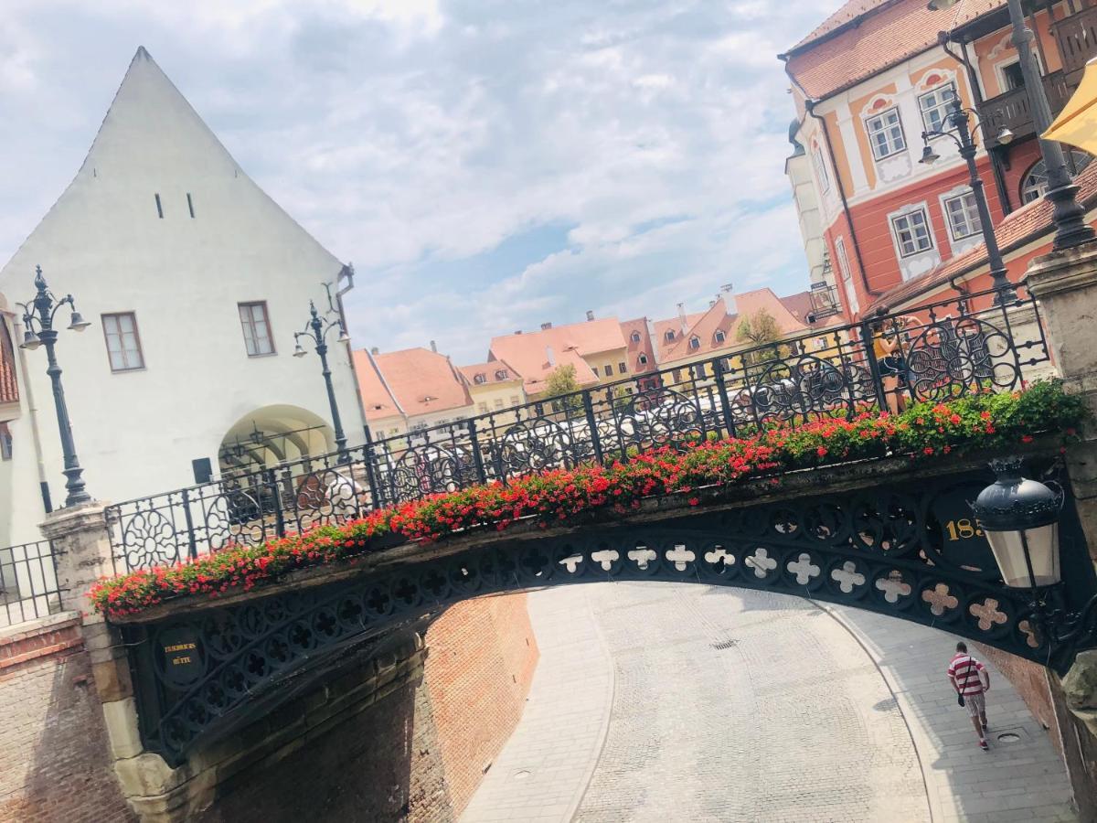 Casa Young&Jung Sibiu Luaran gambar